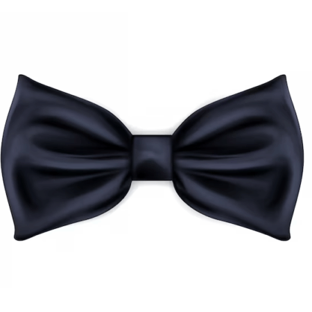 CORBATIN NEGRO